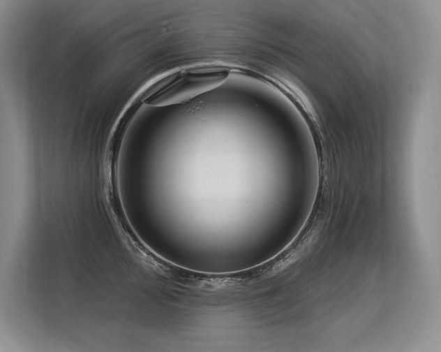 X0000113581000200909181303