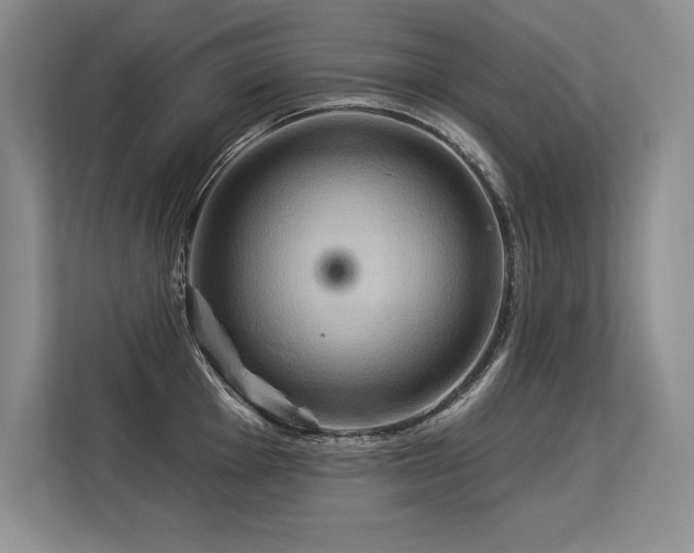 X0000113581001200909181303