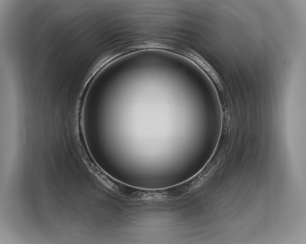 X0000113581002200909181303