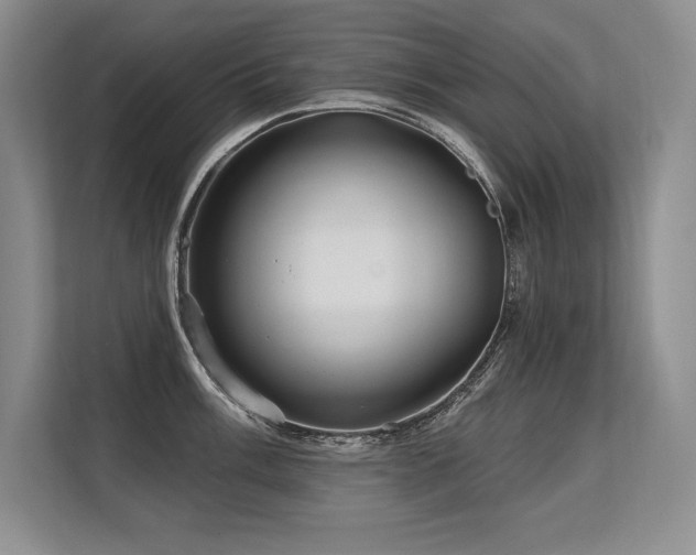 X0000113581003200909181303