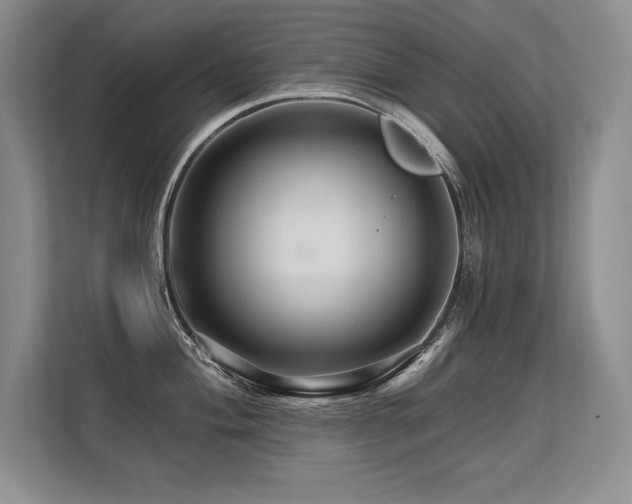 X0000113581004200909181303