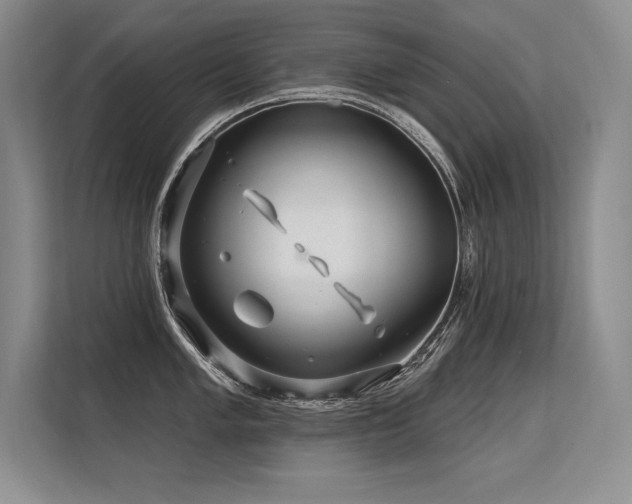 X0000113581005200909181303