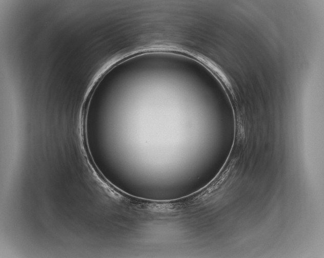 X0000113581006200909181303