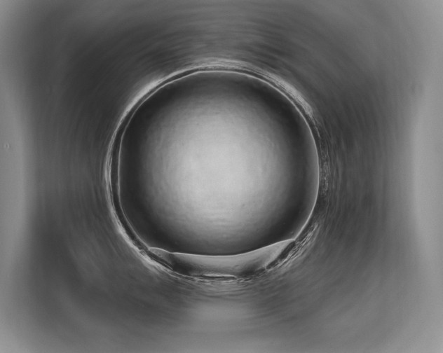 X0000113581007200909181303