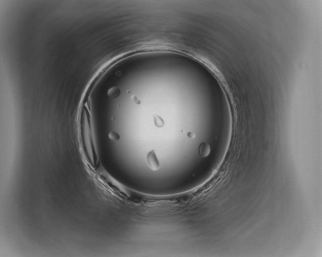 X0000113581008200909181303