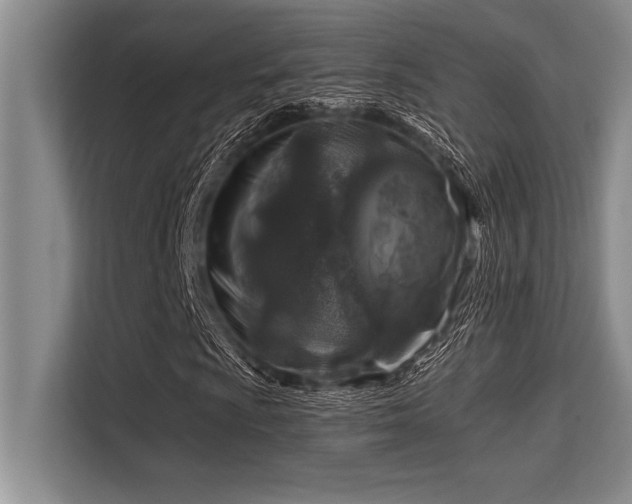 X0000113581009200909181303