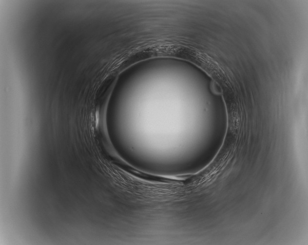 X0000113581010200909181303