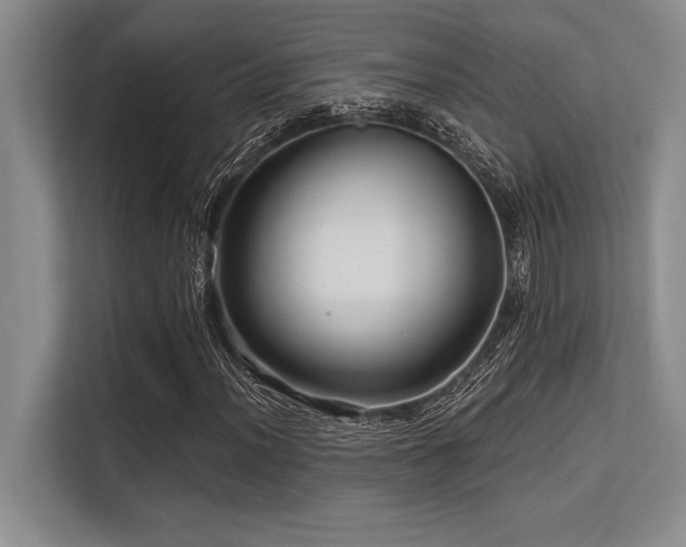 X0000113581012200909181303