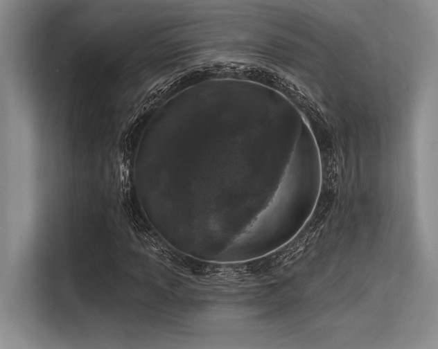 X0000113581013200909181303