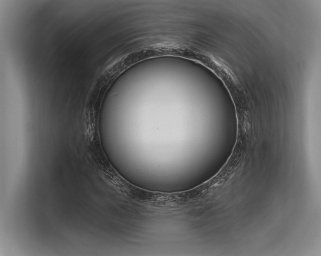 X0000113581015200909181303