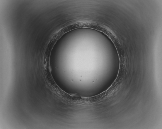 X0000113581016200909181303