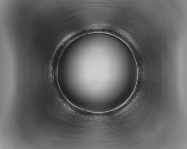 X0000113581018200909181303