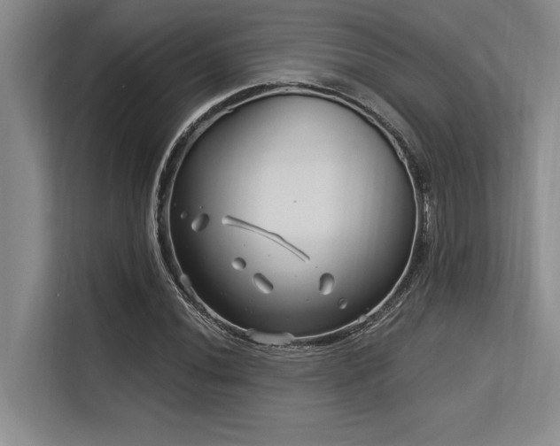 X0000113581020200909181303