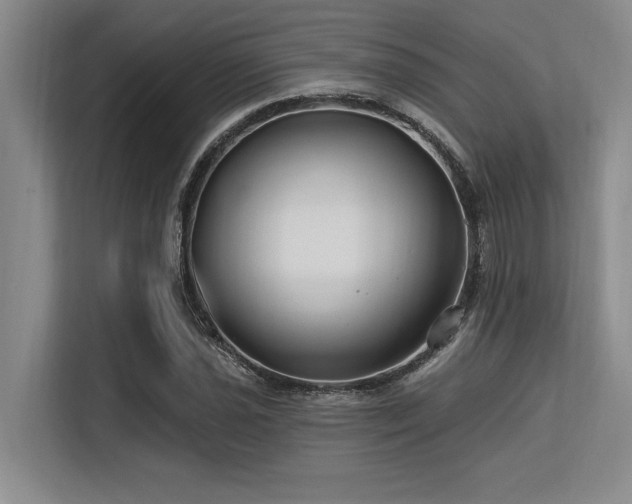 X0000113581021200909181303