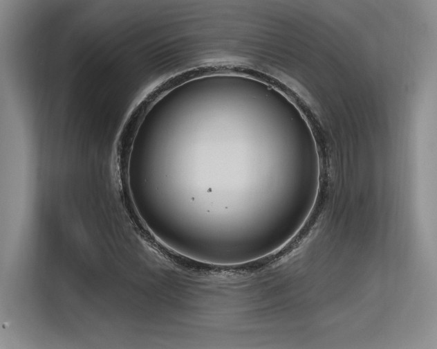 X0000113581022200909181303