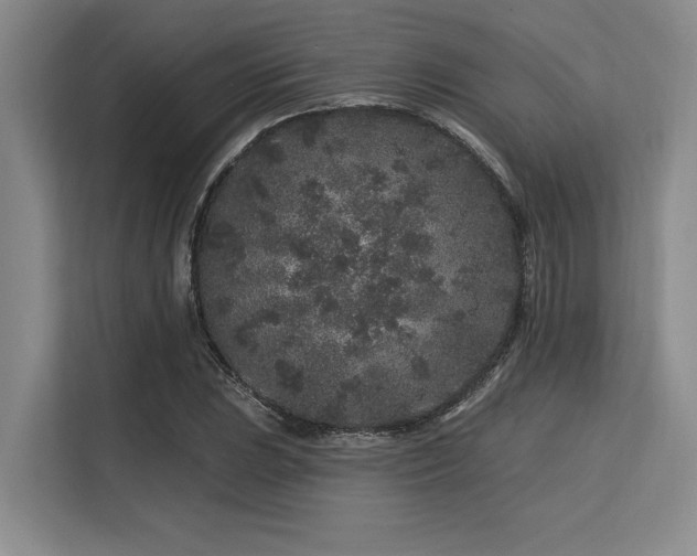 X0000113581023200909181303