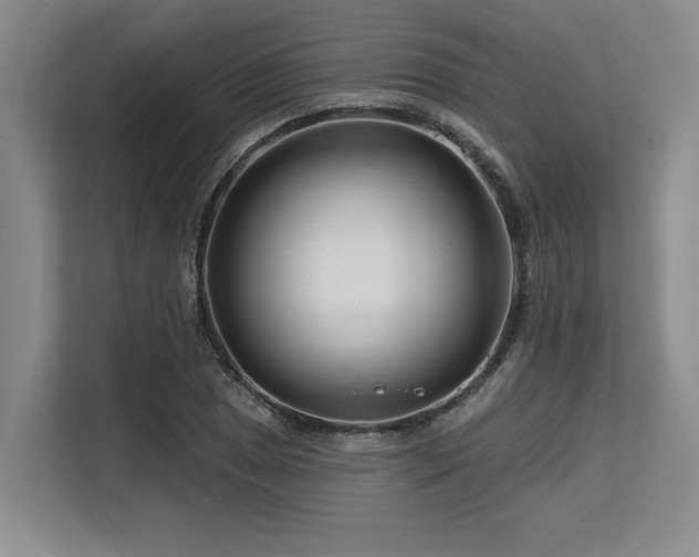 X0000113581025200909181303
