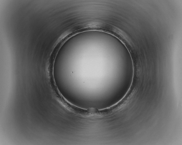 X0000113581026200909181303