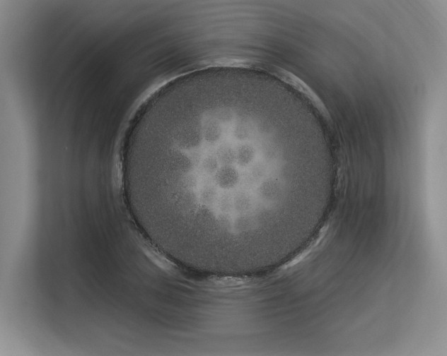X0000113581027200909181303
