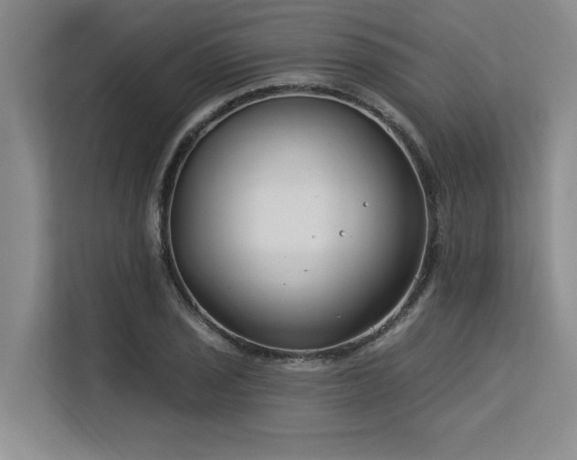 X0000113581029200909181303