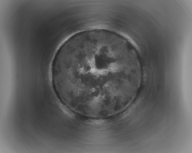 X0000113581031200909181303