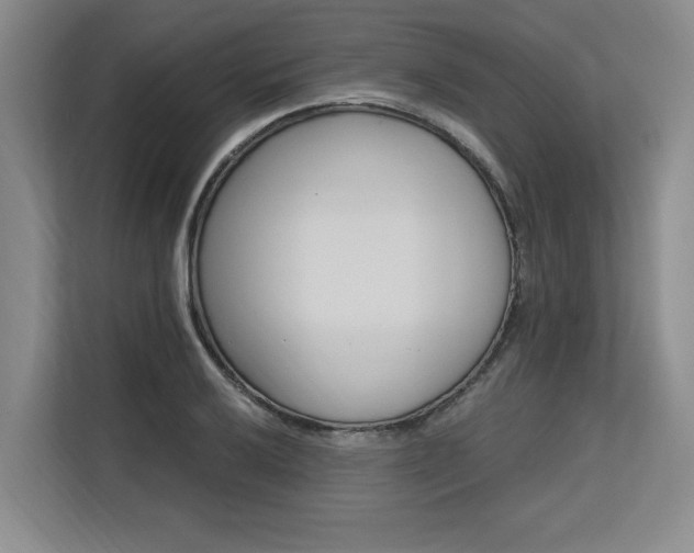 X0000113581032200909181303