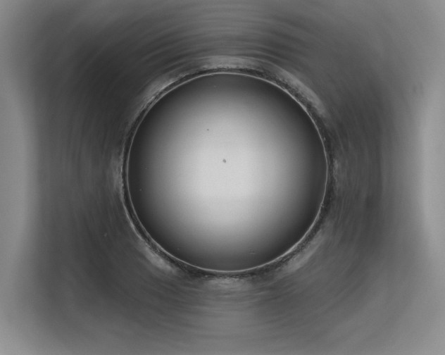 X0000113581033200909181303