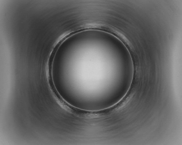 X0000113581034200909181303