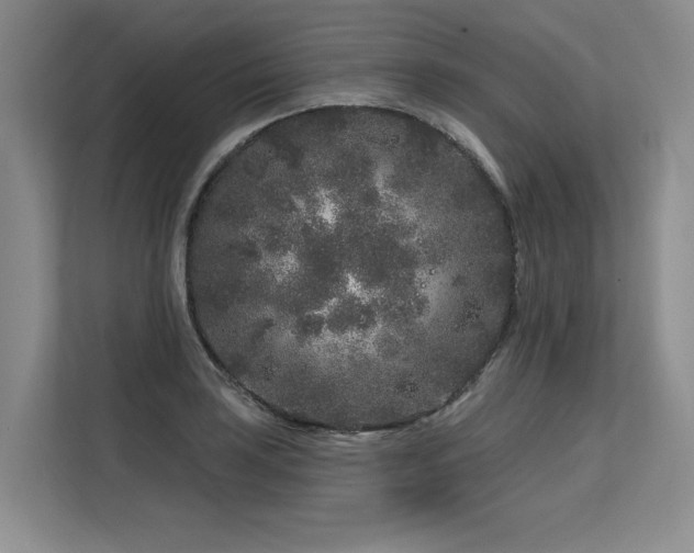 X0000113581035200909181303