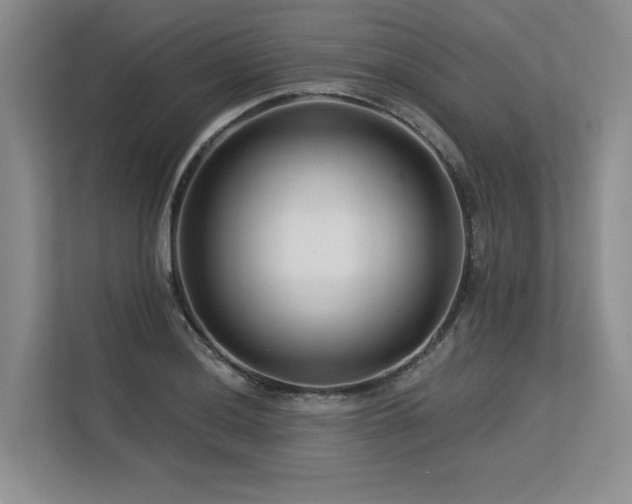 X0000113581036200909181303