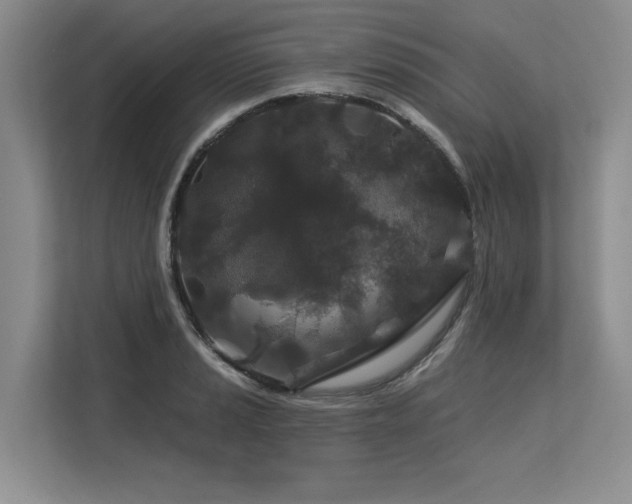 X0000113581037200909181303