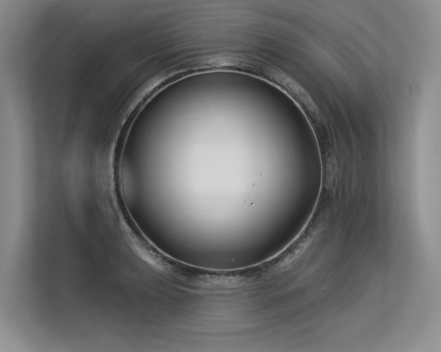 X0000113581039200909181303