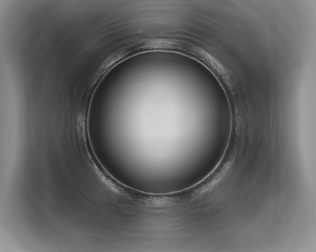 X0000113581041200909181303