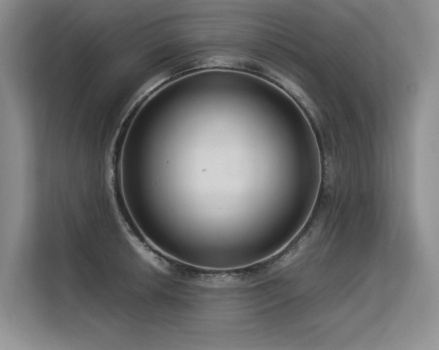 X0000113581042200909181303