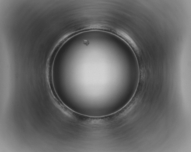 X0000113581043200909181303