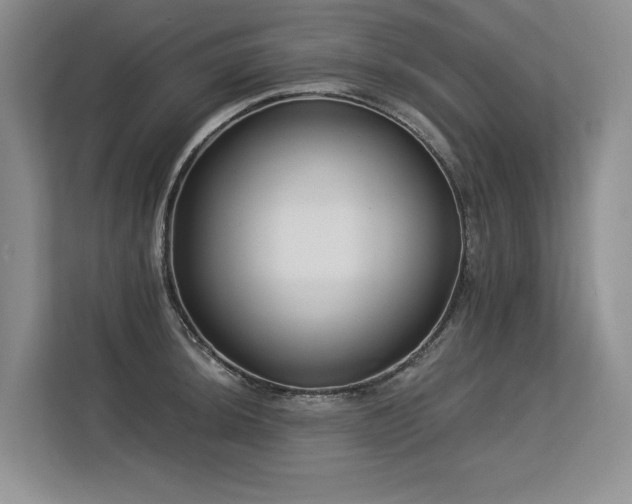 X0000113581044200909181303