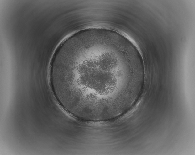 X0000113581045200909181303