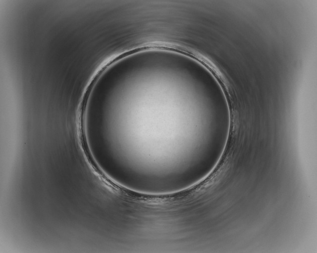 X0000113581048200909181303