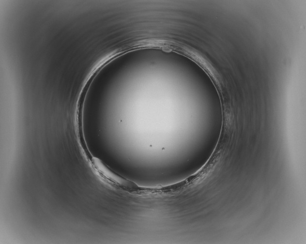 X0000113581050200909181303