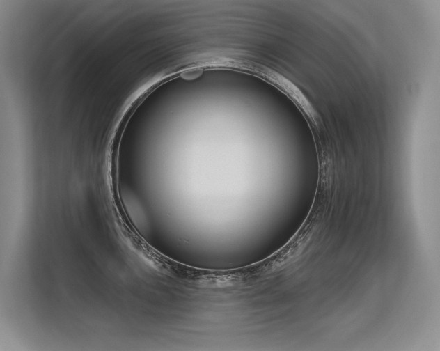 X0000113581051200909181303