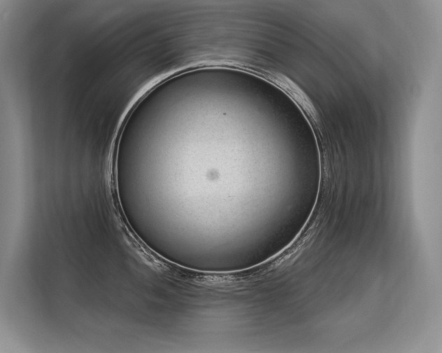 X0000113581052200909181303