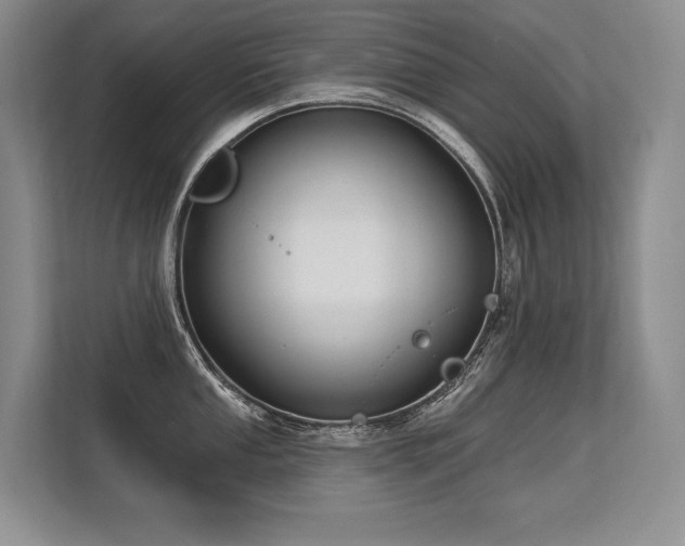 X0000113581053200909181303