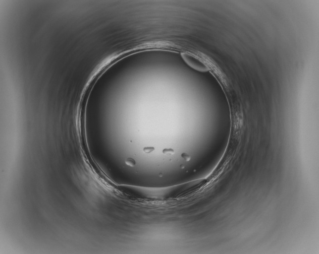 X0000113581054200909181303