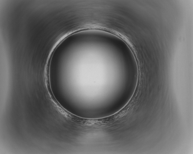 X0000113581056200909181303