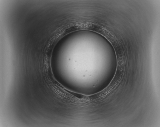 X0000113581058200909181303