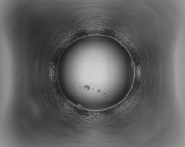 X0000113581059200909181303
