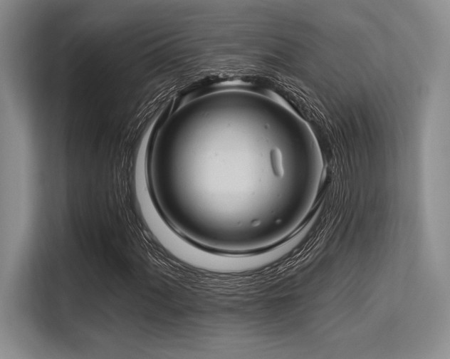X0000113581060200909181303