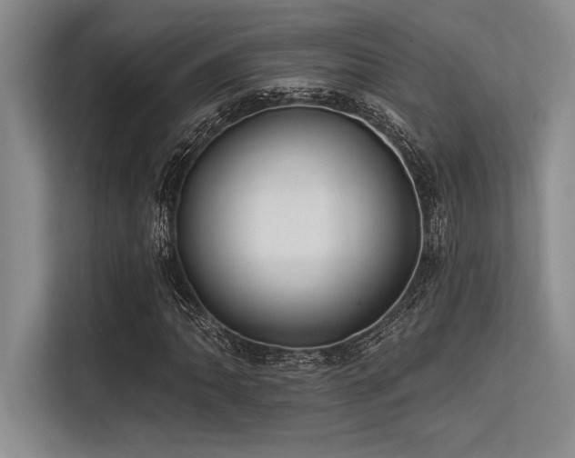 X0000113581062200909181303