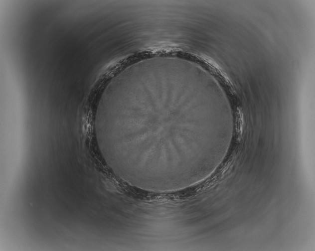 X0000113581063200909181303