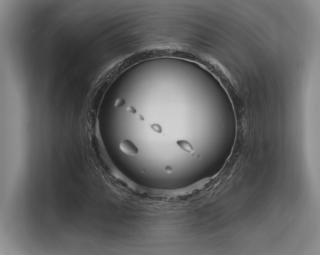 X0000113581064200909181303
